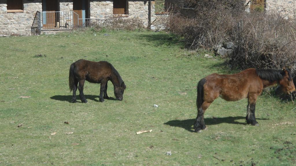 El Rincon De Zaldierna